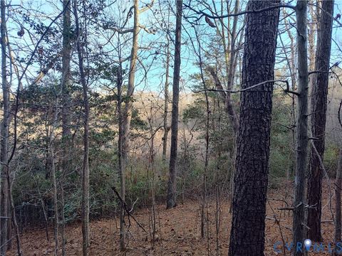 Tiny photo for 19001 Old Stage Road, Dinwiddie, VA 23841 (MLS # 2605763)