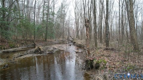 Tiny photo for 19001 Old Stage Road, Dinwiddie, VA 23841 (MLS # 2605763)