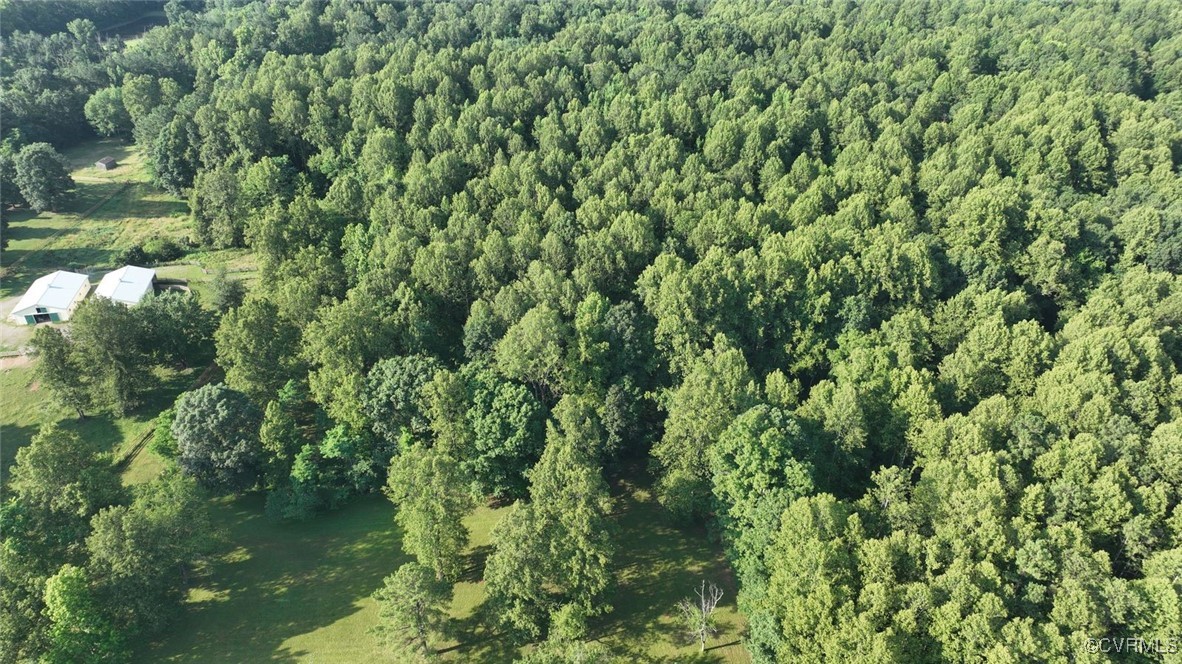 2019 Covington Road