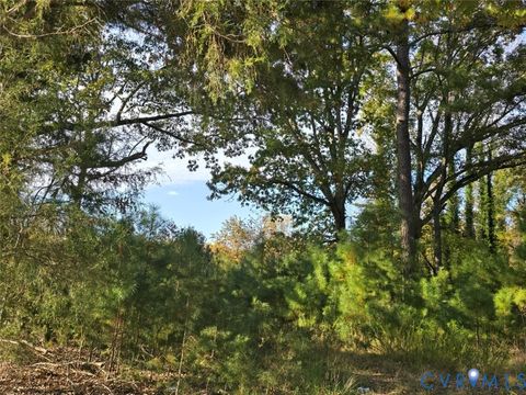 Tiny photo for Parcel B Patrick Henry Highway, Amelia, VA 23002 (MLS # 2606868)