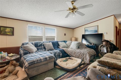 Tiny photo for 21921 Boydton Plank Road, Mc Kenney, VA 23872 (MLS # 2607842)