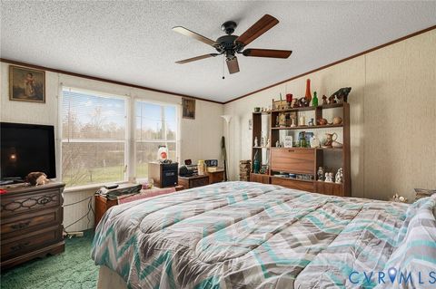 Tiny photo for 21921 Boydton Plank Road, Mc Kenney, VA 23872 (MLS # 2607842)