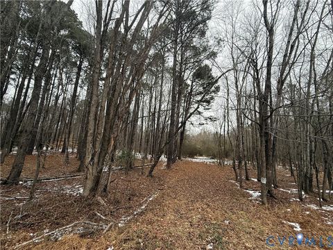 Photo of 16410 John Tyler Memorial Highway Hwy, Charles City, VA 23030 (MLS # 2602931)