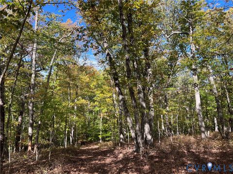 Tiny photo for 00 Warren Ferry Road, Scottsville, VA 24590 (MLS # 2529586)