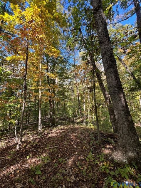 Tiny photo for 00 Warren Ferry Road, Scottsville, VA 24590 (MLS # 2529586)