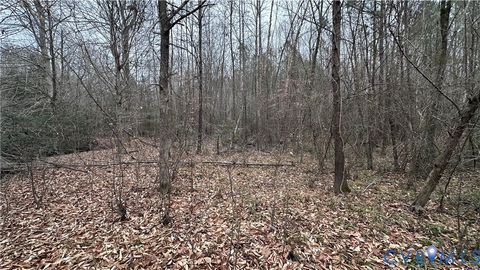Tiny photo for 000 Boydton Plank Road, Dinwiddie, VA 23841 (MLS # 2533675)
