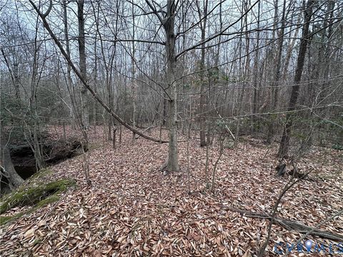 Tiny photo for 000 Boydton Plank Road, Dinwiddie, VA 23841 (MLS # 2533675)