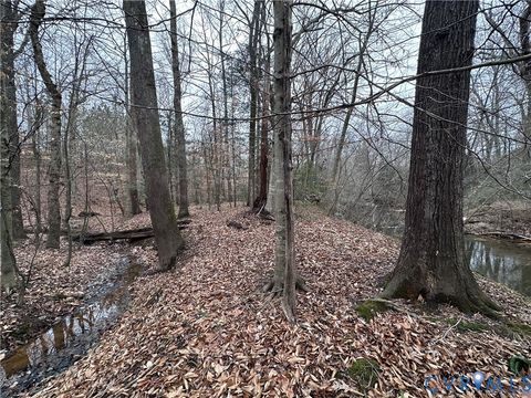 Tiny photo for 000 Boydton Plank Road, Dinwiddie, VA 23841 (MLS # 2533675)