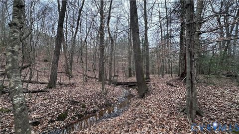 Tiny photo for 000 Boydton Plank Road, Dinwiddie, VA 23841 (MLS # 2533675)