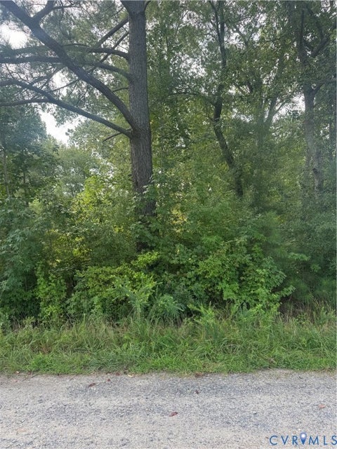 Photo of 0 Brooks, Colonial Beach, VA 22443 (MLS # 2623463)