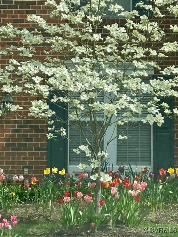 Henrico, Virginia 23294, United States, 3 Bedrooms Bedrooms, ,2 BathroomsBathrooms,Residential,Active,98190