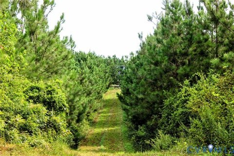 Tiny photo for 00 Greenes Corner Road, Bumpass, VA 23024 (MLS # 2623730)