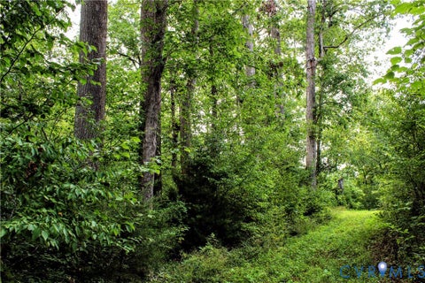 Tiny photo for 00 Greenes Corner Road, Bumpass, VA 23024 (MLS # 2623730)