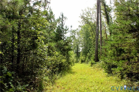 Tiny photo for 00 Greenes Corner Road, Bumpass, VA 23024 (MLS # 2623730)