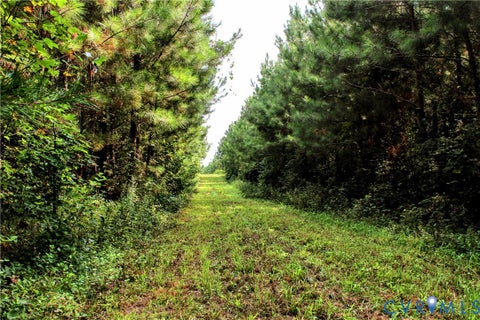 Tiny photo for 00 Greenes Corner Road, Bumpass, VA 23024 (MLS # 2623730)