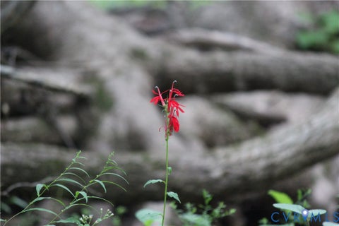 Tiny photo for 00 Greenes Corner Road, Bumpass, VA 23024 (MLS # 2623730)
