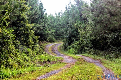 Tiny photo for 00 Greenes Corner Road, Bumpass, VA 23024 (MLS # 2623730)