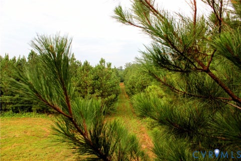 Tiny photo for 00 Greenes Corner Road, Bumpass, VA 23024 (MLS # 2623730)