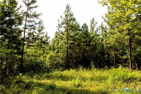 Tiny photo for 00 Greenes Corner Road, Bumpass, VA 23024 (MLS # 2623730)