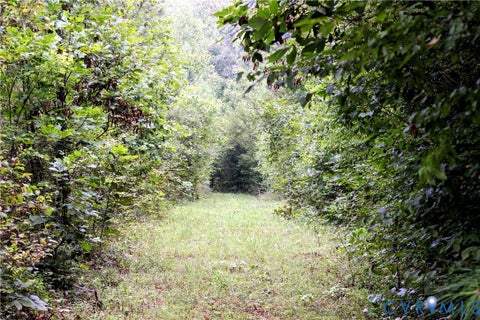 Tiny photo for 00 Greenes Corner Road, Bumpass, VA 23024 (MLS # 2623730)