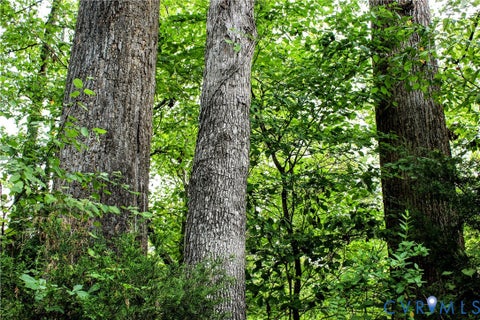 Tiny photo for 00 Greenes Corner Road, Bumpass, VA 23024 (MLS # 2623730)