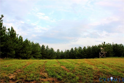 Tiny photo for 00 Greenes Corner Road, Bumpass, VA 23024 (MLS # 2623730)