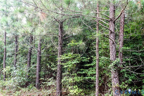 Tiny photo for 00 Greenes Corner Road, Bumpass, VA 23024 (MLS # 2623730)