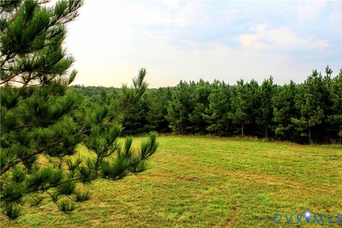 Tiny photo for 00 Greenes Corner Road, Bumpass, VA 23024 (MLS # 2623730)
