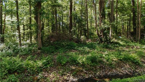 Tiny photo for 00 Pioneer Trail, Hague, VA 22469 (MLS # 2514408)