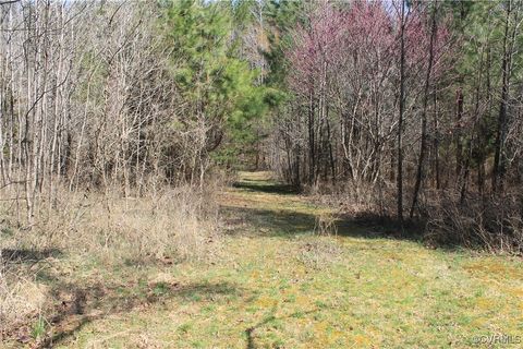 Tiny photo for TBD Gills Road, Powhatan, VA 23139 (MLS # 2507747)
