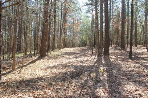 Tiny photo for TBD Gills Road, Powhatan, VA 23139 (MLS # 2507747)
