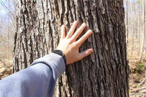 Tiny photo for TBD Gills Road, Powhatan, VA 23139 (MLS # 2507747)