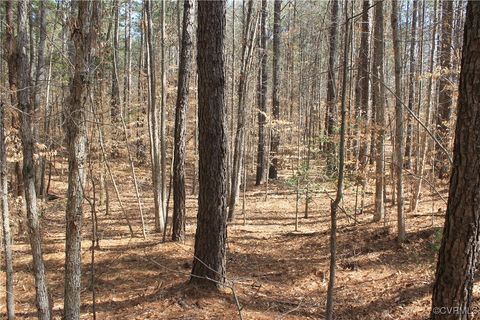 Tiny photo for TBD Gills Road, Powhatan, VA 23139 (MLS # 2507747)