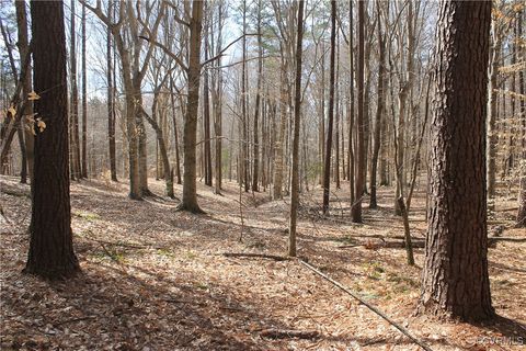 Tiny photo for TBD Gills Road, Powhatan, VA 23139 (MLS # 2507747)