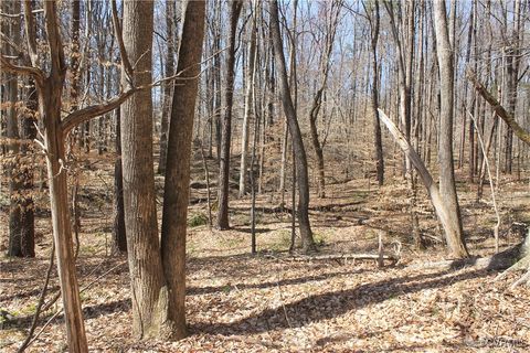 Tiny photo for TBD Gills Road, Powhatan, VA 23139 (MLS # 2507747)
