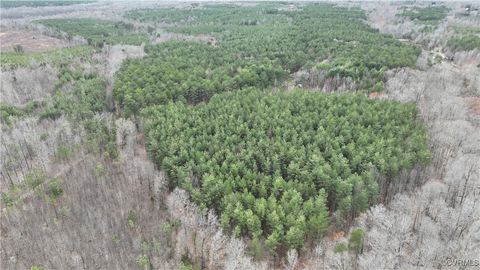 Tiny photo for TBD Gills Road, Powhatan, VA 23139 (MLS # 2507747)
