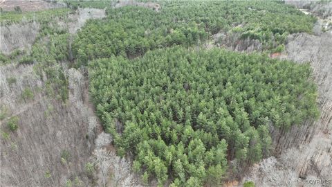 Tiny photo for TBD Gills Road, Powhatan, VA 23139 (MLS # 2507747)