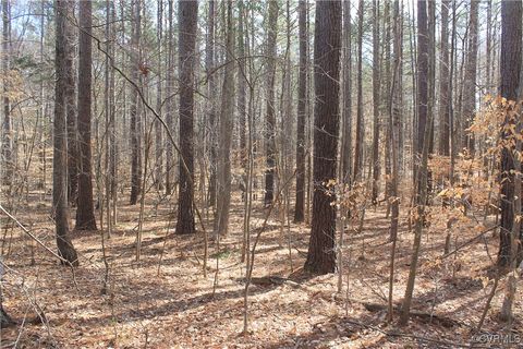 Tiny photo for TBD Gills Road, Powhatan, VA 23139 (MLS # 2507747)