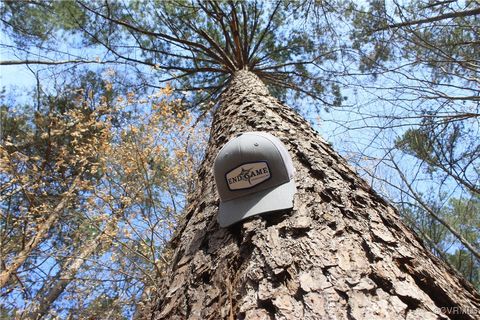 Tiny photo for TBD Gills Road, Powhatan, VA 23139 (MLS # 2507747)