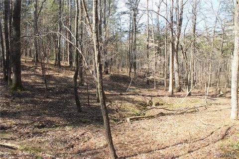 Tiny photo for TBD Gills Road, Powhatan, VA 23139 (MLS # 2507747)
