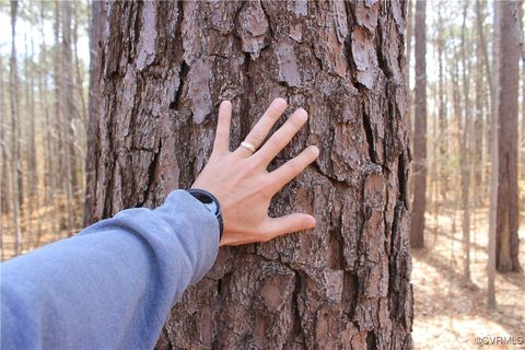 Tiny photo for TBD Gills Road, Powhatan, VA 23139 (MLS # 2507747)