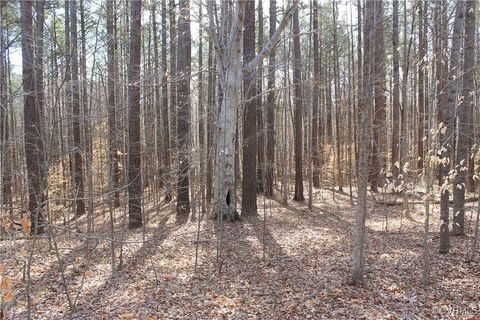 Tiny photo for TBD Gills Road, Powhatan, VA 23139 (MLS # 2507747)