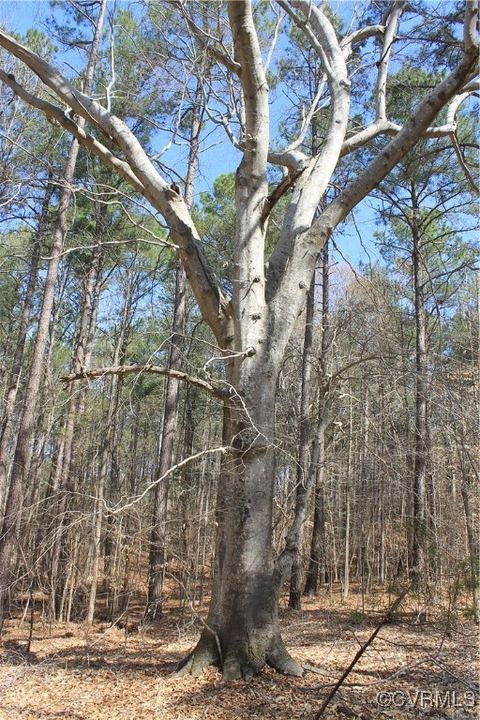 Tiny photo for TBD Gills Road, Powhatan, VA 23139 (MLS # 2507747)