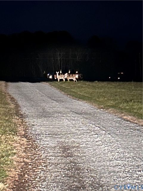 Tiny photo for 19609 & 19605 White Oak Road, Sutherland, VA 23885 (MLS # 2619212)