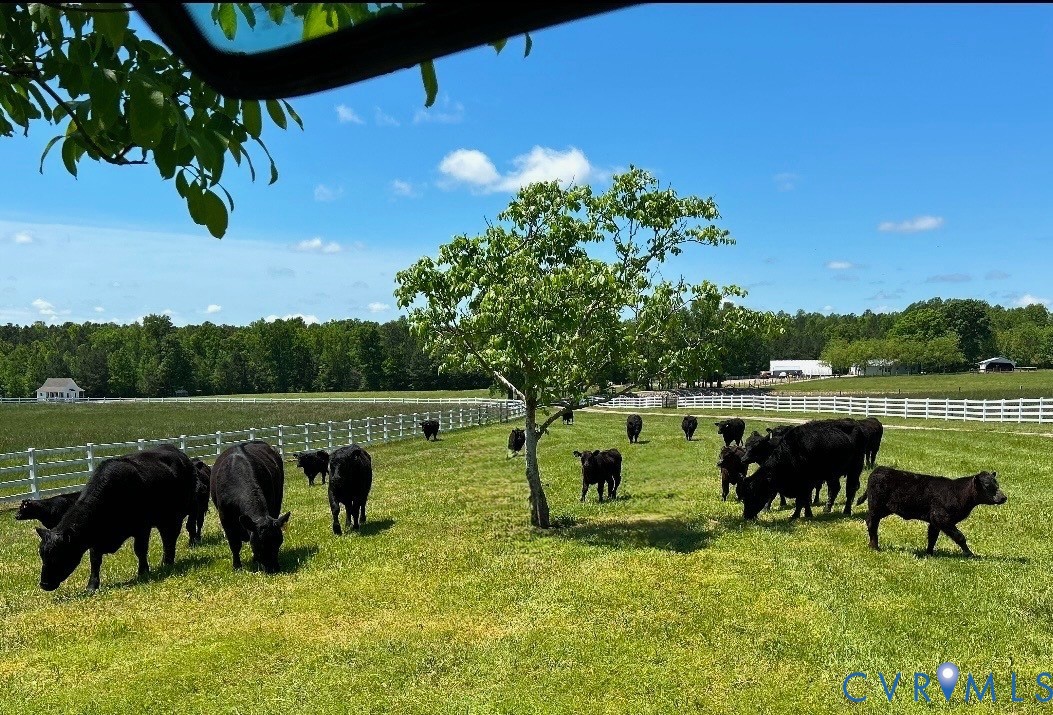 19609 & 19605 White Oak Road, Sutherland, VA, 23885