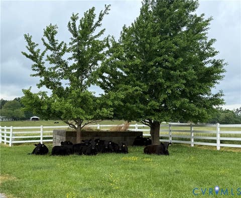 Tiny photo for 19609 & 19605 White Oak Road, Sutherland, VA 23885 (MLS # 2619212)