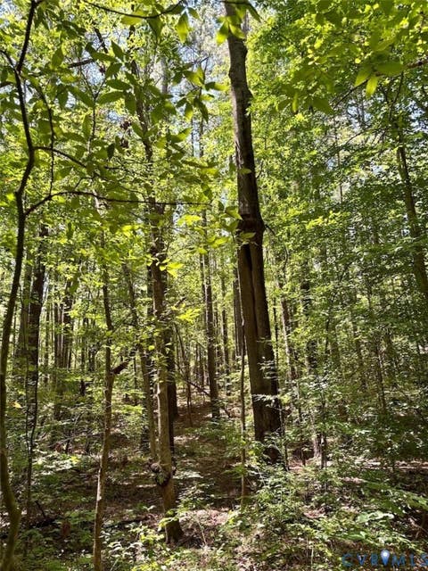Tiny photo for 000 Red Level Lane, South Hill, VA 23970 (MLS # 2620469)