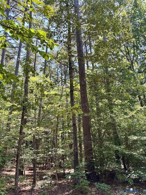 Tiny photo for 000 Red Level Lane, South Hill, VA 23970 (MLS # 2620469)