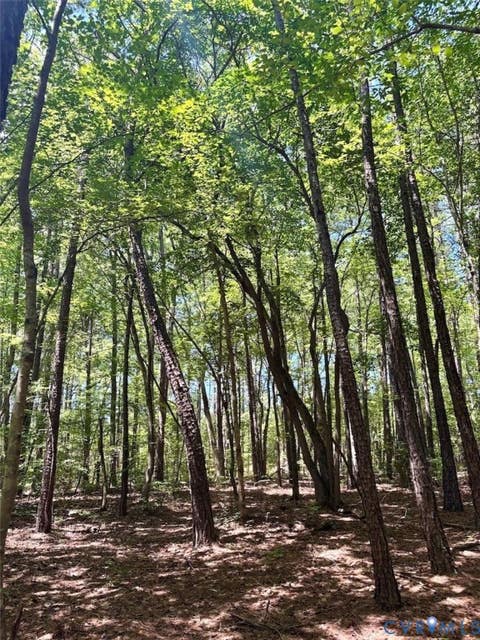 Tiny photo for 000 Red Level Lane, South Hill, VA 23970 (MLS # 2620469)