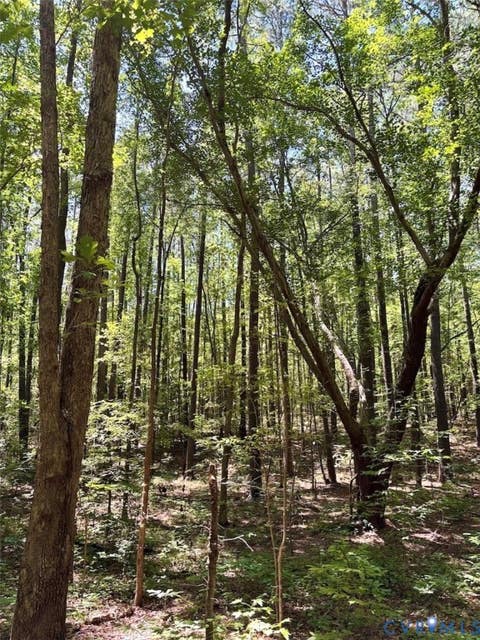Tiny photo for 000 Red Level Lane, South Hill, VA 23970 (MLS # 2620469)